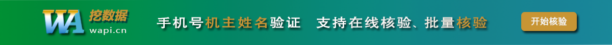 手机号机主姓名验证